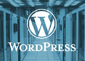 Managed WordPress Hosting uitgelegd!