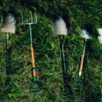 Essentiële tuingereedschappen voor een groene tuin
