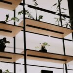 LinkedIn voor bedrijven: hoe je het platform inzet voor zakelijke groei